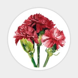 Carnation Magnet